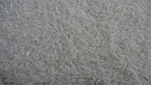 Kolam Rice