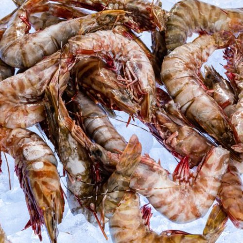 Prawns