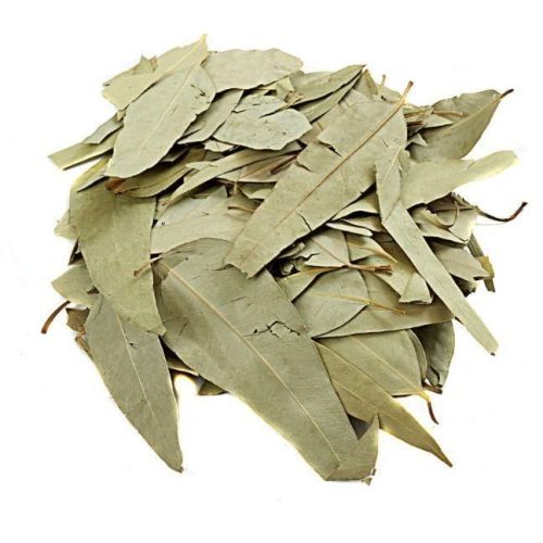 Eucalyptus Leaves