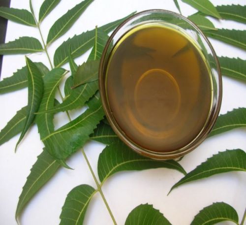 neem oil