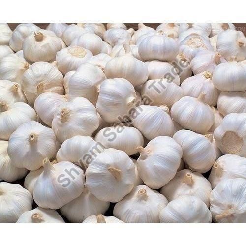 Fresh Garlic