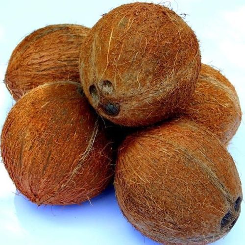 husked coconut