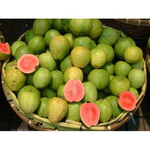 Fresh Guava