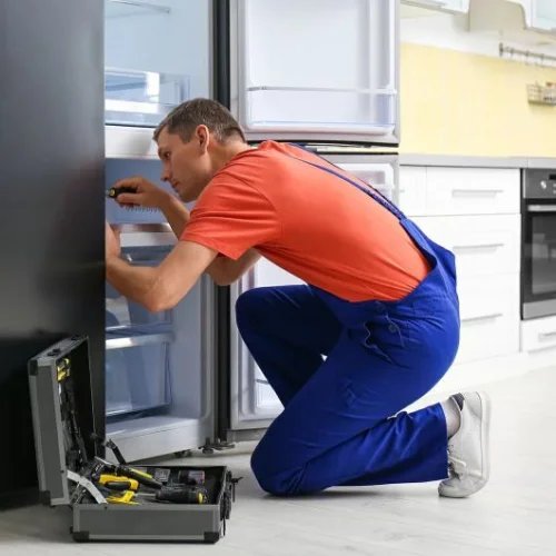 Refrigerator Repairing Services