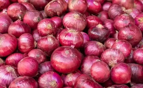 Fresh Onion