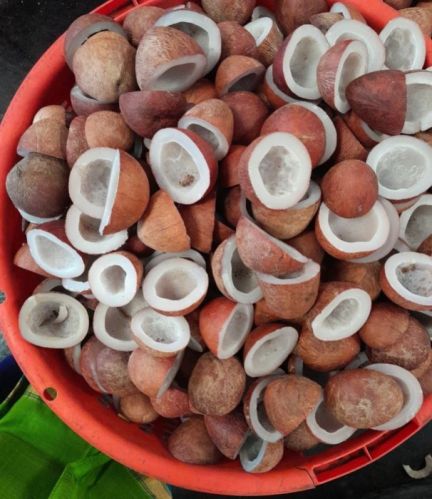 Coconut Copra