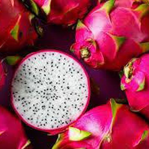 Fresh Dragon Fruit