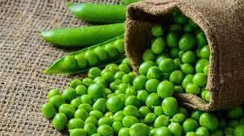 Fresh Green Peas