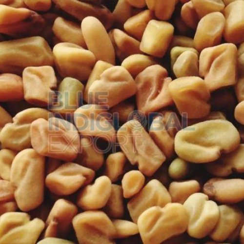 Fenugreek Seed
