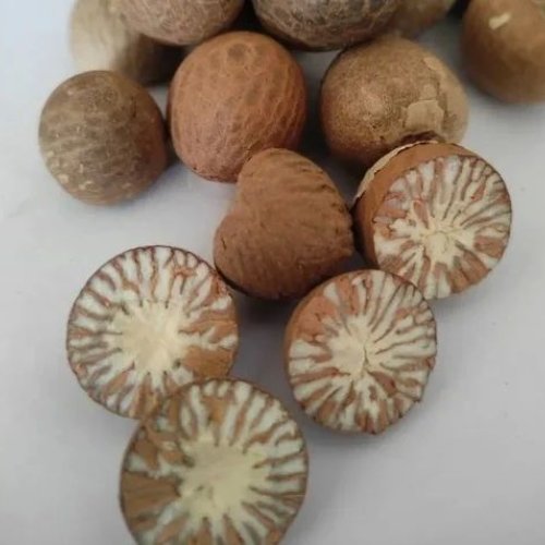 Areca Nut