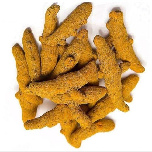Turmeric Finger