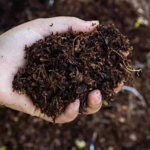 Vermicompost Fertilizer
