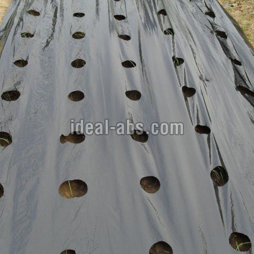 Mulching Film