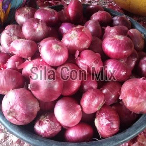 Onion