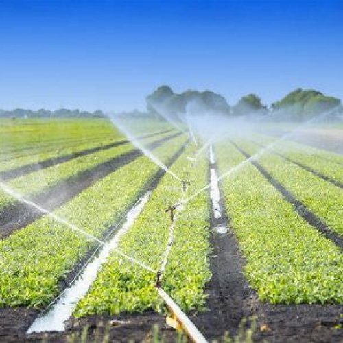 Sprinkler Irrigation System