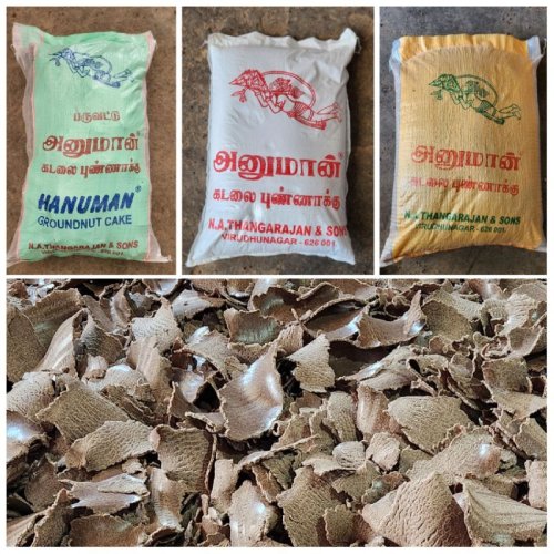 Hanuman Groundnut Oil Cake