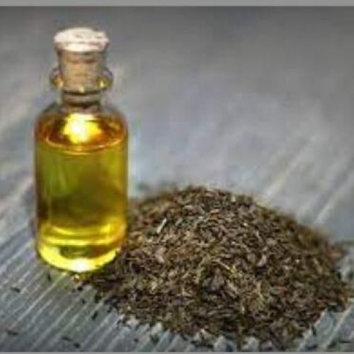 Caraway Oil