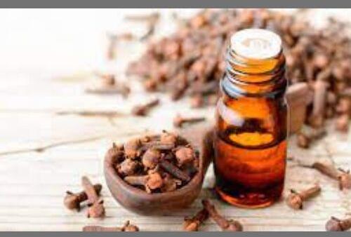 Clove Oil