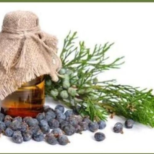 Juniper Berry Oil