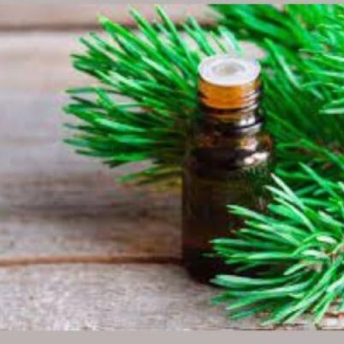 Fir Needle Oil