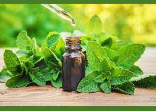peppermint oil
