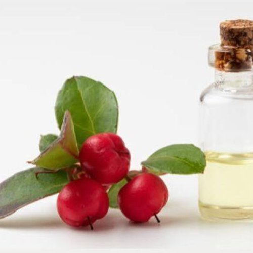 Wintergreen Oil