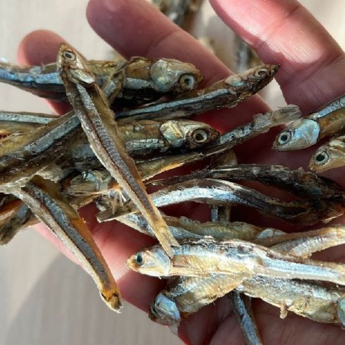 Dried Sprats Anchovie Fish