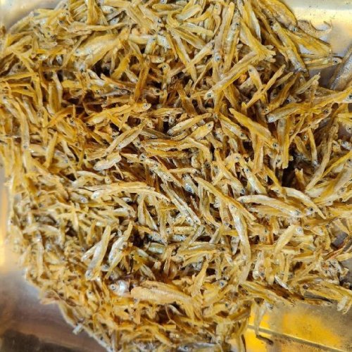 Dried Anchovie Fish