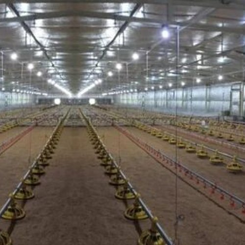 Poultry Farm Insulation Material