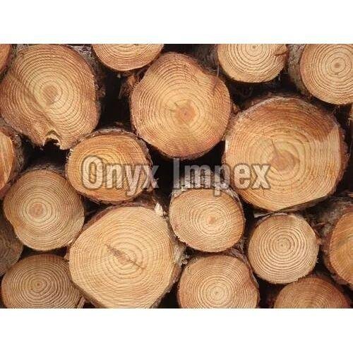 Canadian Pine Wood Lumbers
