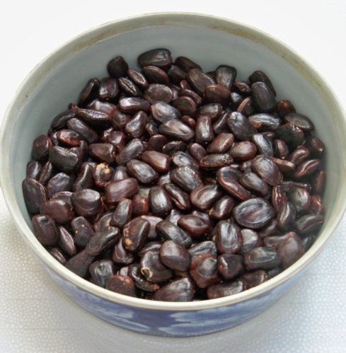 tamarind seed