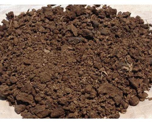 Cow Dung Powder