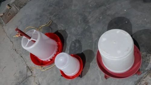 Poultry Feeder and Drinker