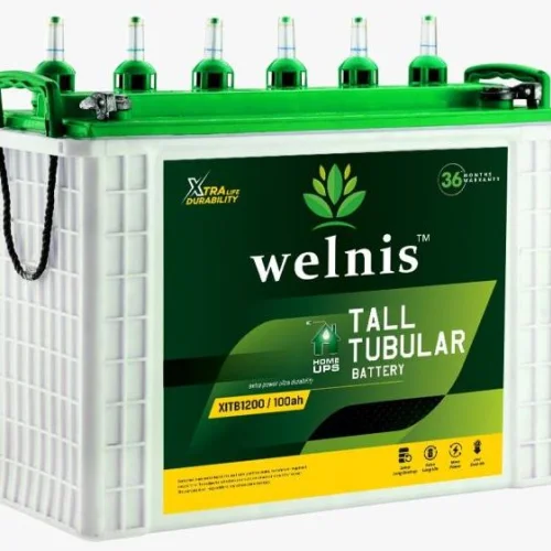 Welnis Tall Tubular Battery