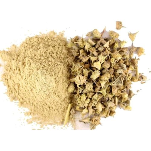 Gokhru Powder