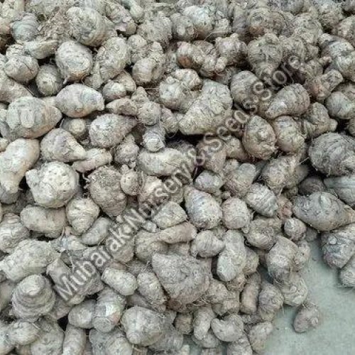 Black Turmeric Seeds