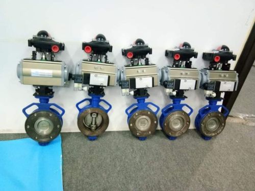 Double Offset Butterfly Valve