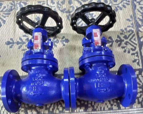WCB Globe Valve