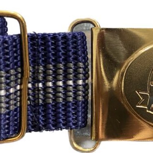 Golden Polyester School Belt