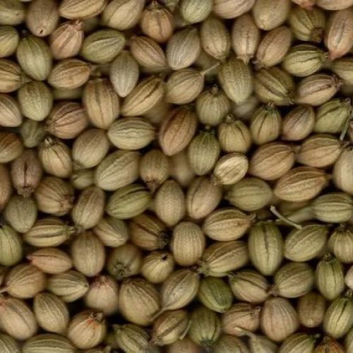 Coriander Seeds