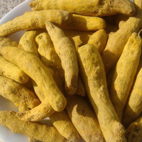 Dried Turmeric Finger