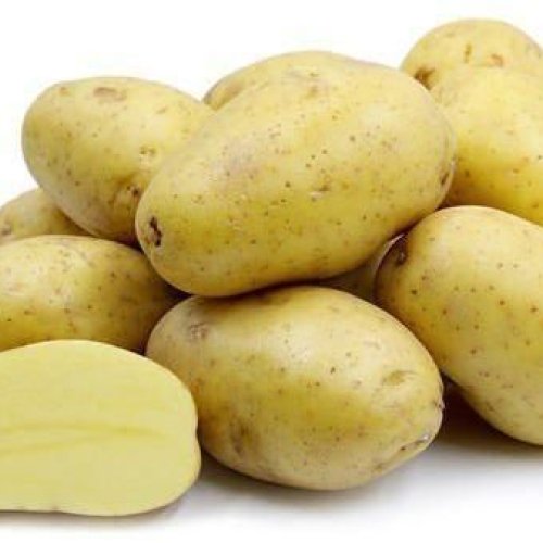 Fresh Potato