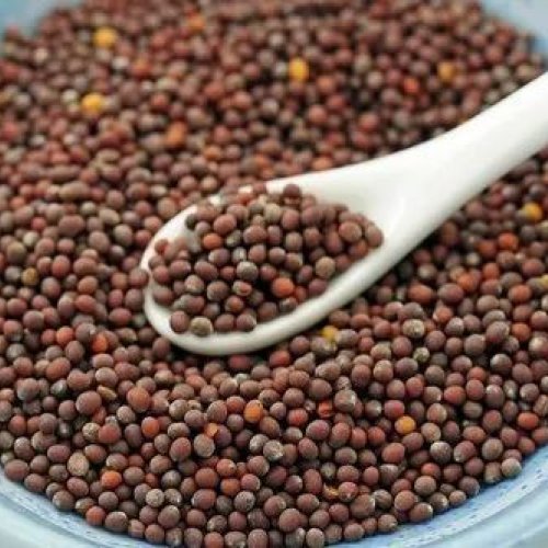 Mustard Seeds