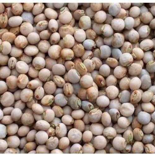 Pigeon Peas