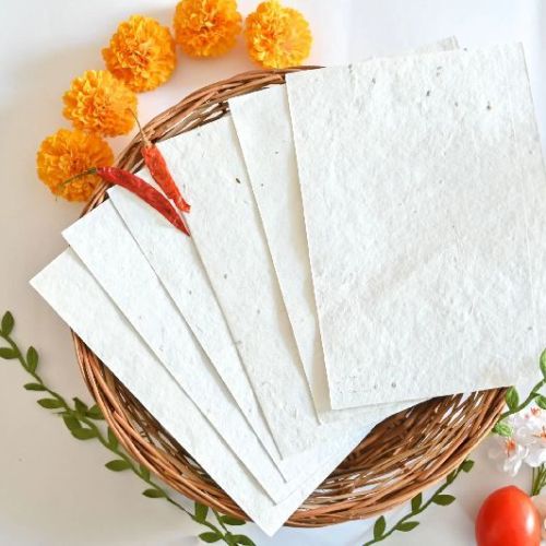 Plantable Seed Paper Calendar