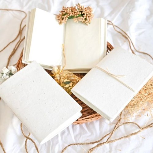 Seed Paper Diary - Set of 3