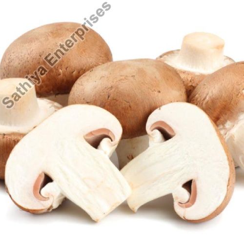 Fresh Mushrooms