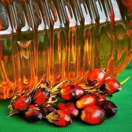 Refined Palm Oil