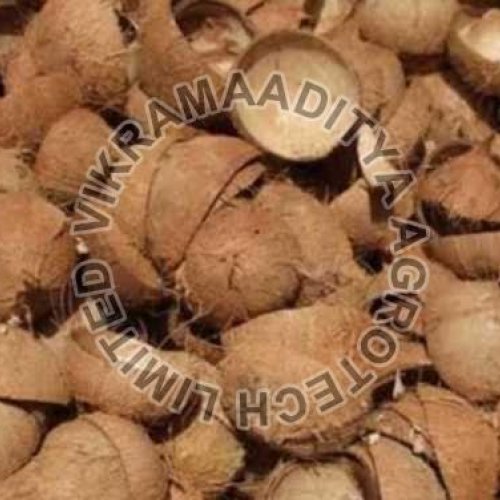 Coconut Shells