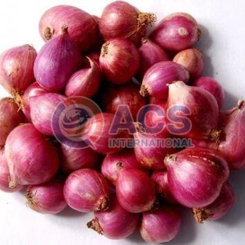 Fresh Sambar Onion